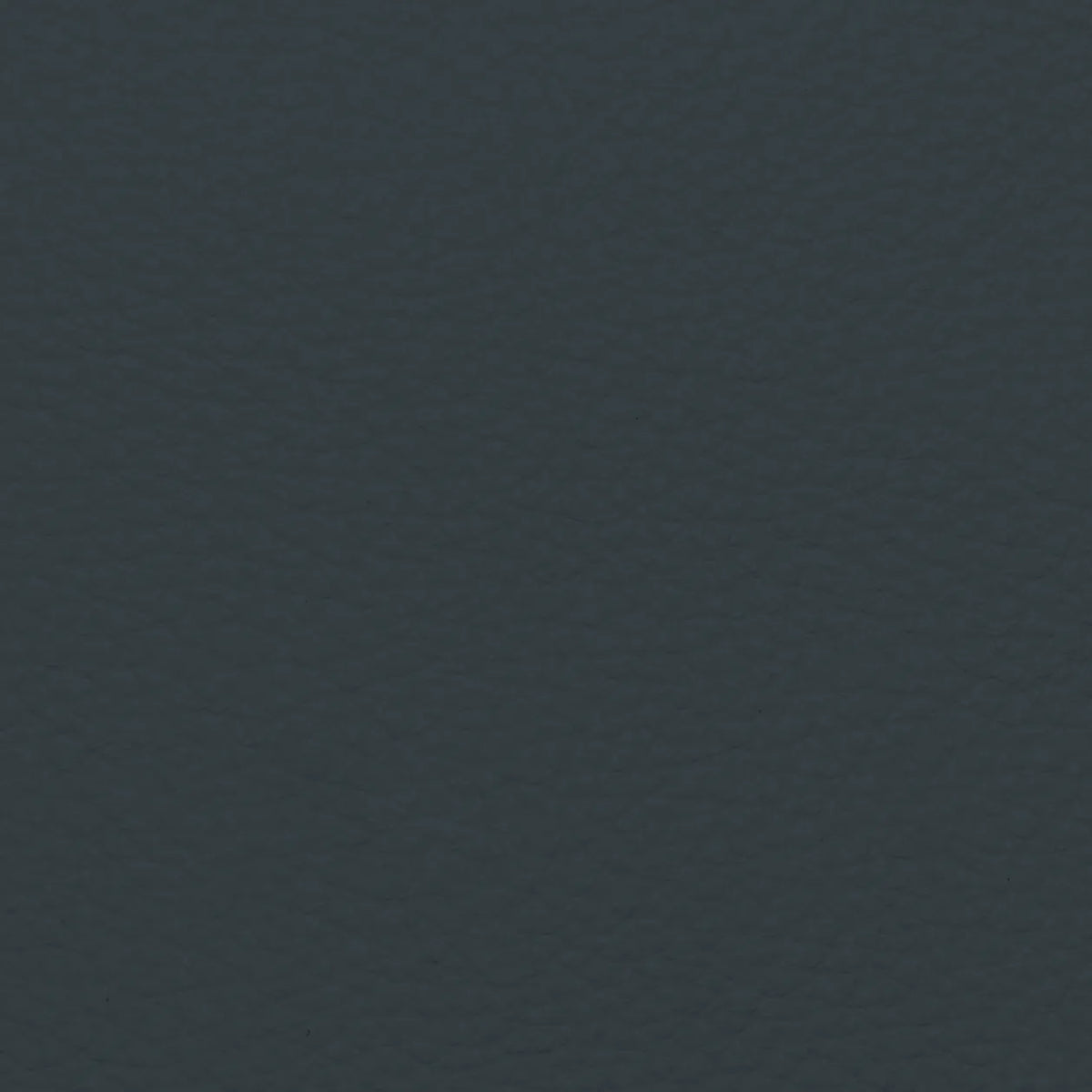 Fabric Sample – Dakota Leather