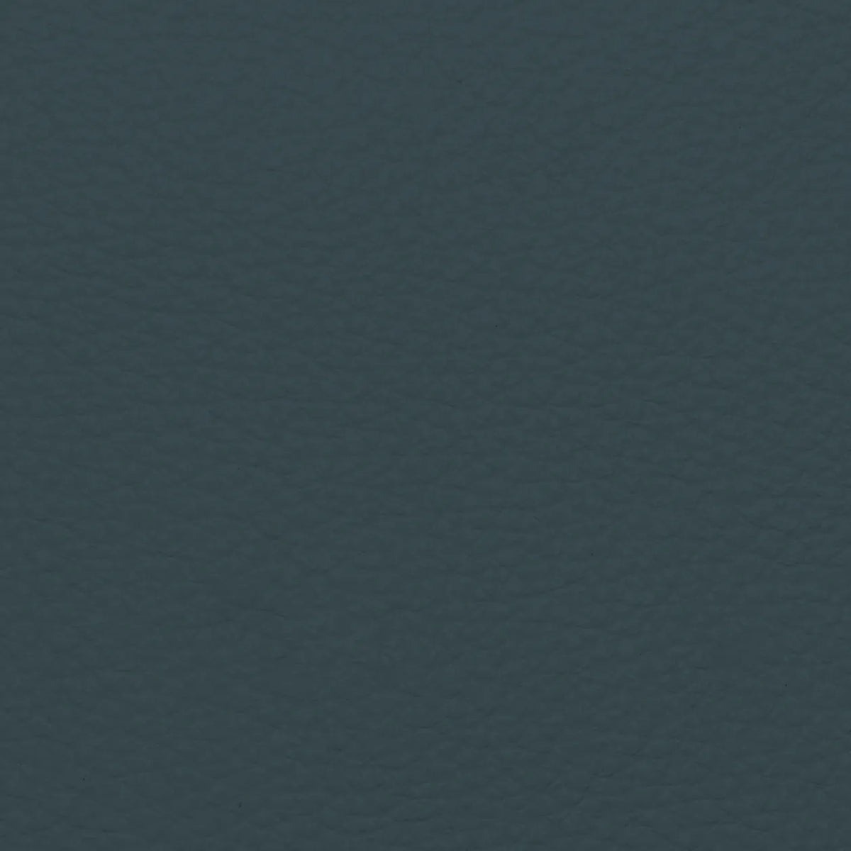 Fabric Sample – Dakota Leather