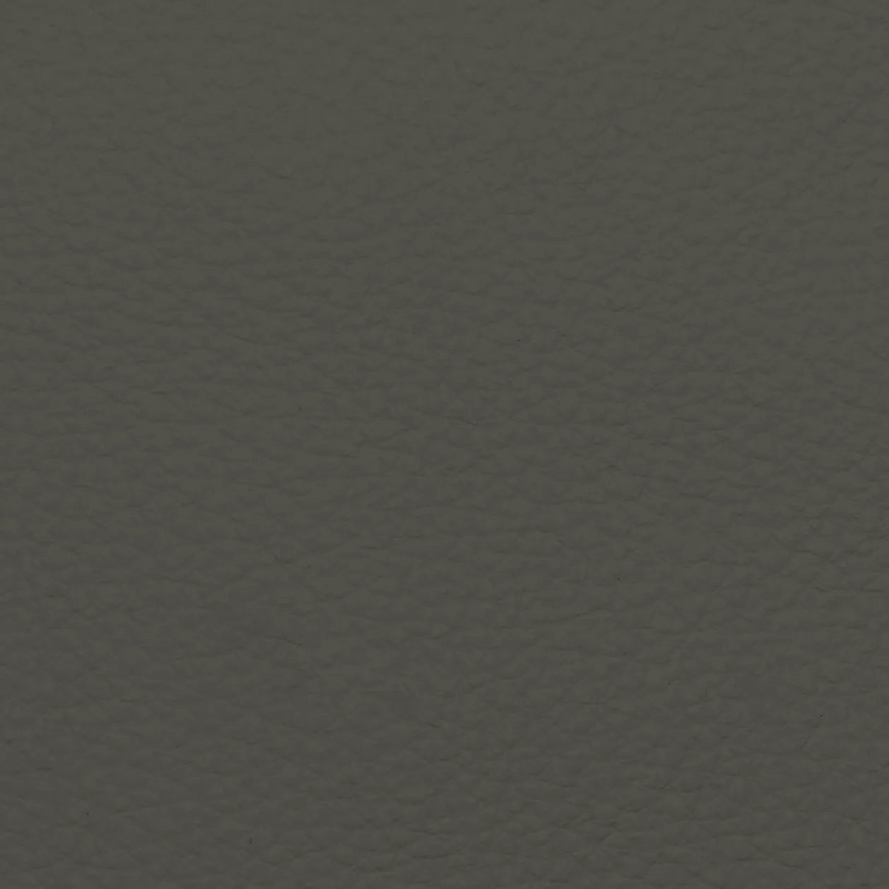 Fabric Sample – Dakota Leather