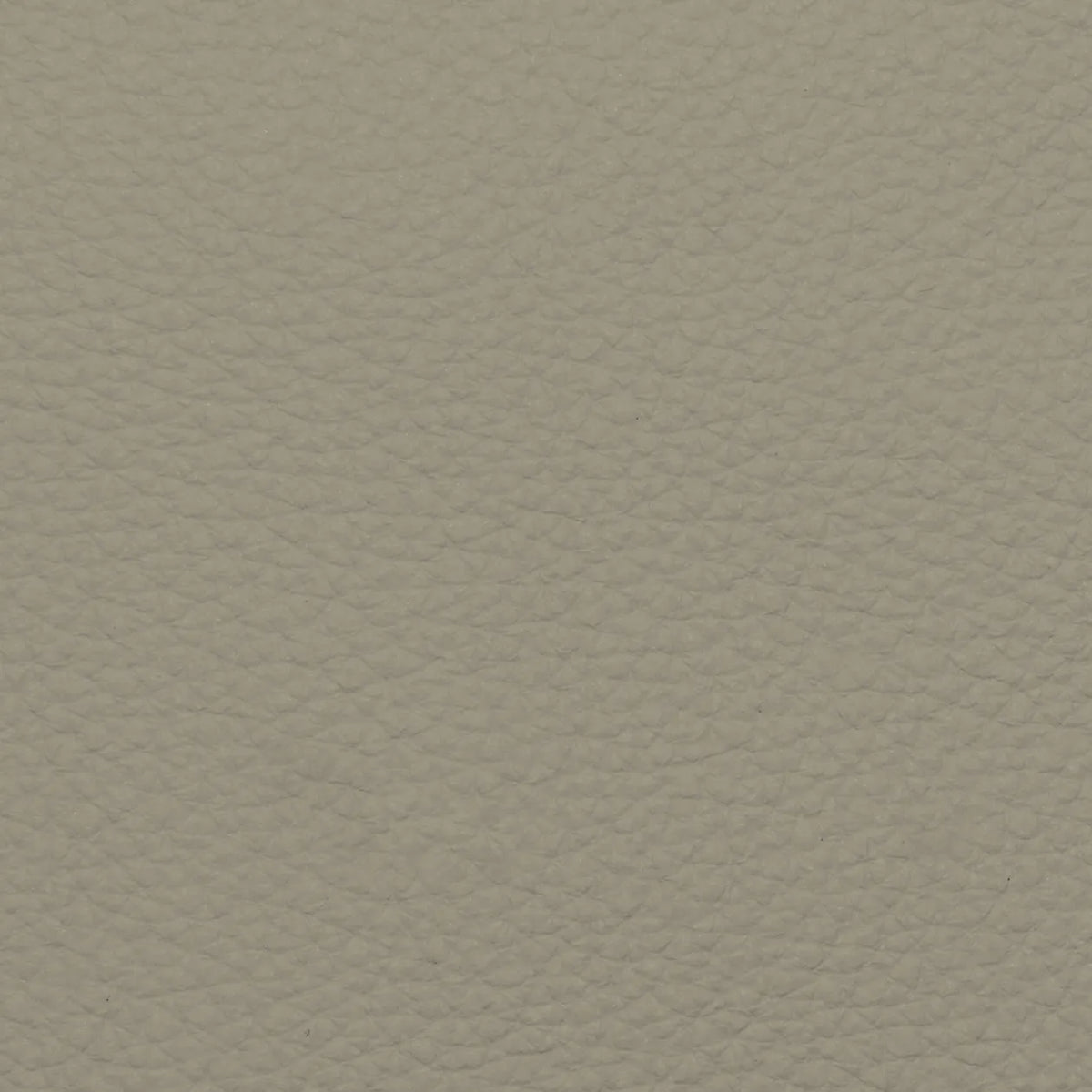 Fabric Sample – Dakota Leather