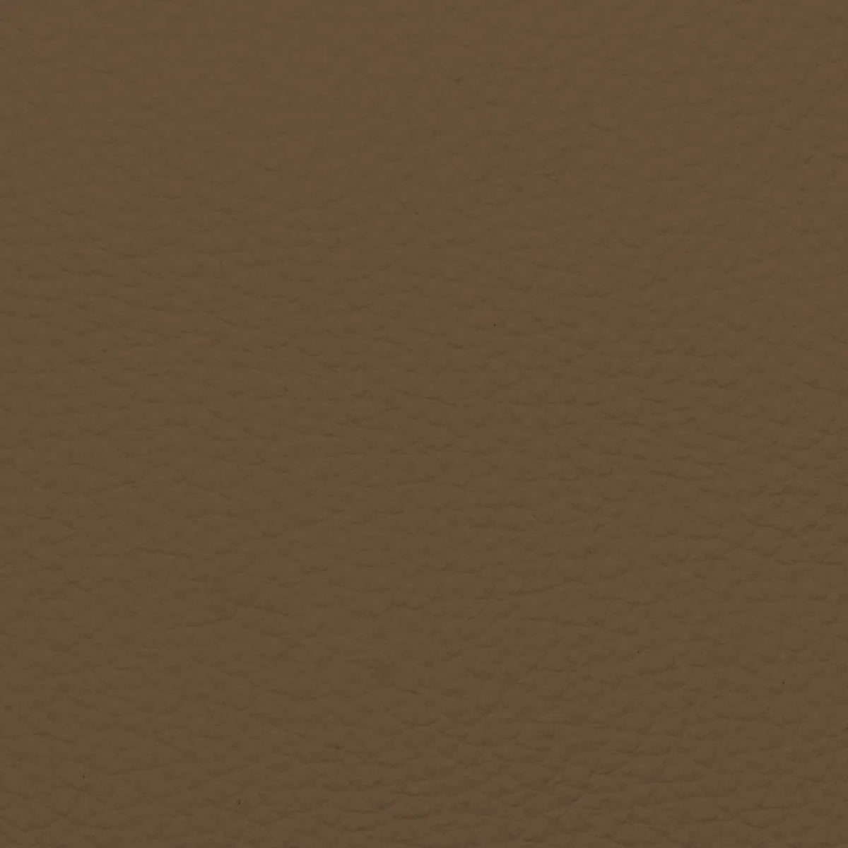 Fabric Sample – Dakota Leather