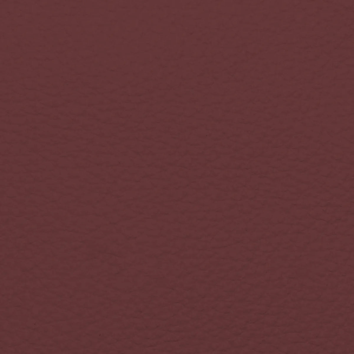Fabric Sample – Dakota Leather