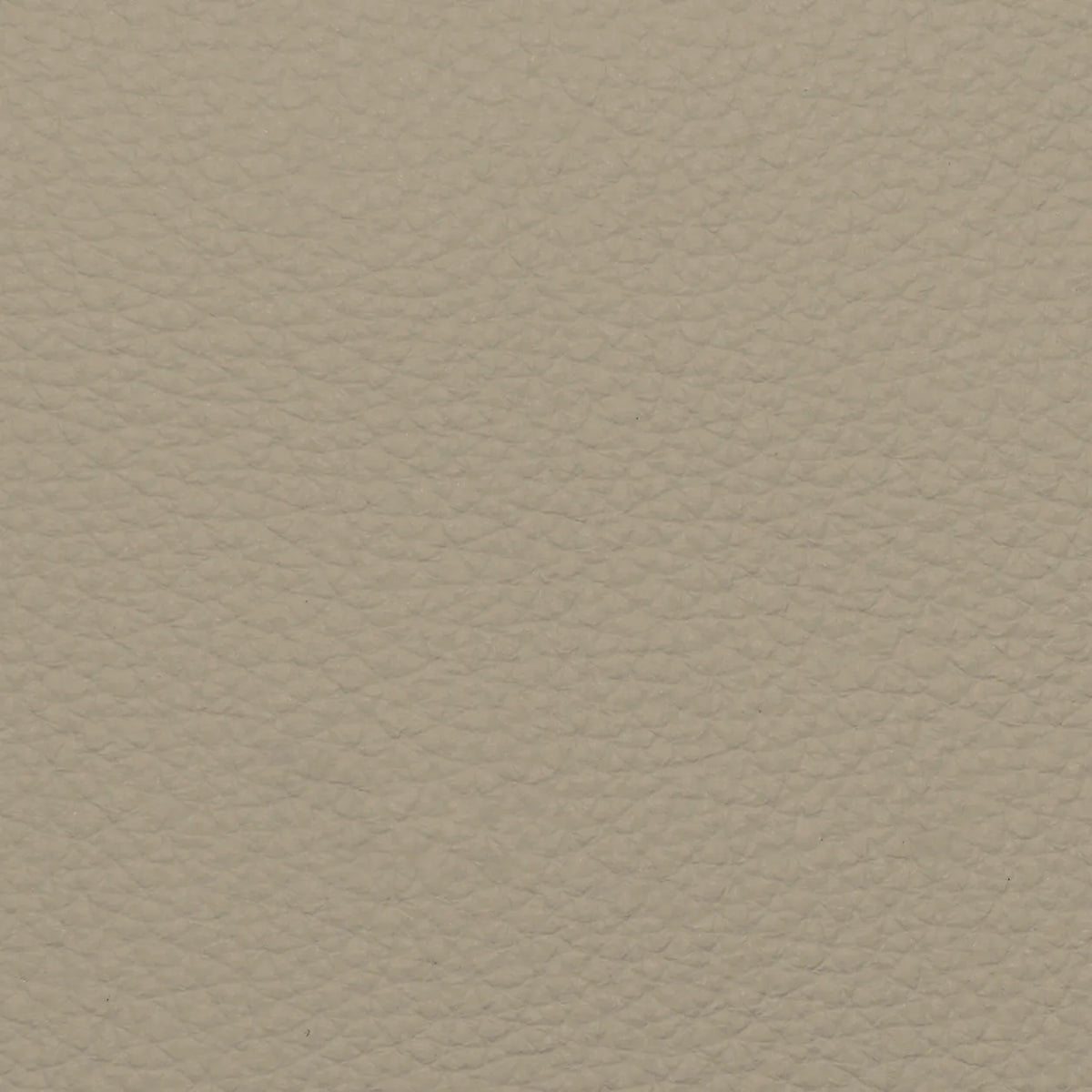Fabric Sample – Dakota Leather