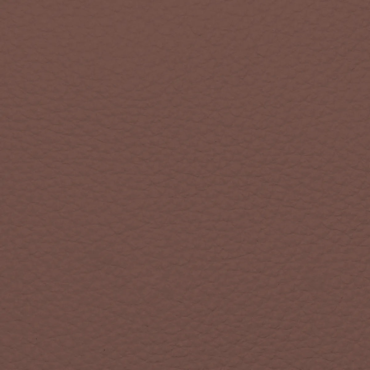 Fabric Sample – Dakota Leather