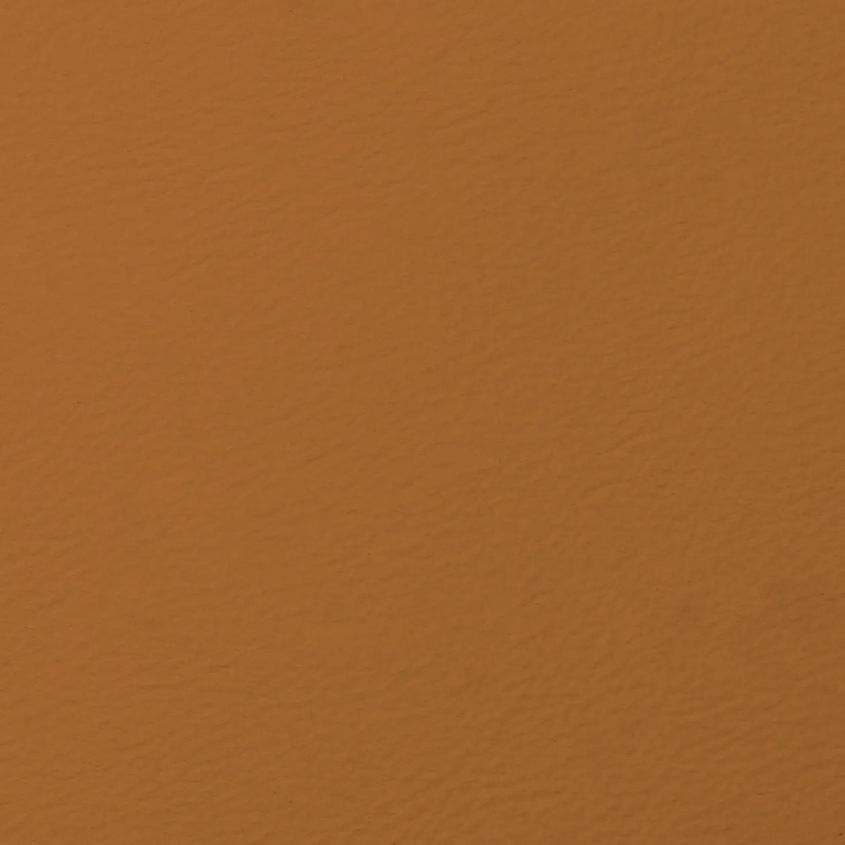 Burnt Ochre