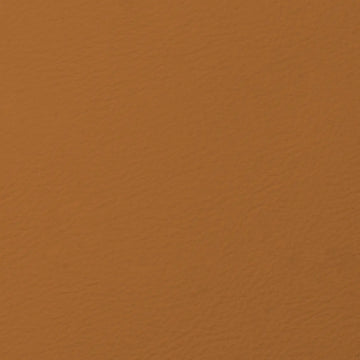 Burnt Ochre