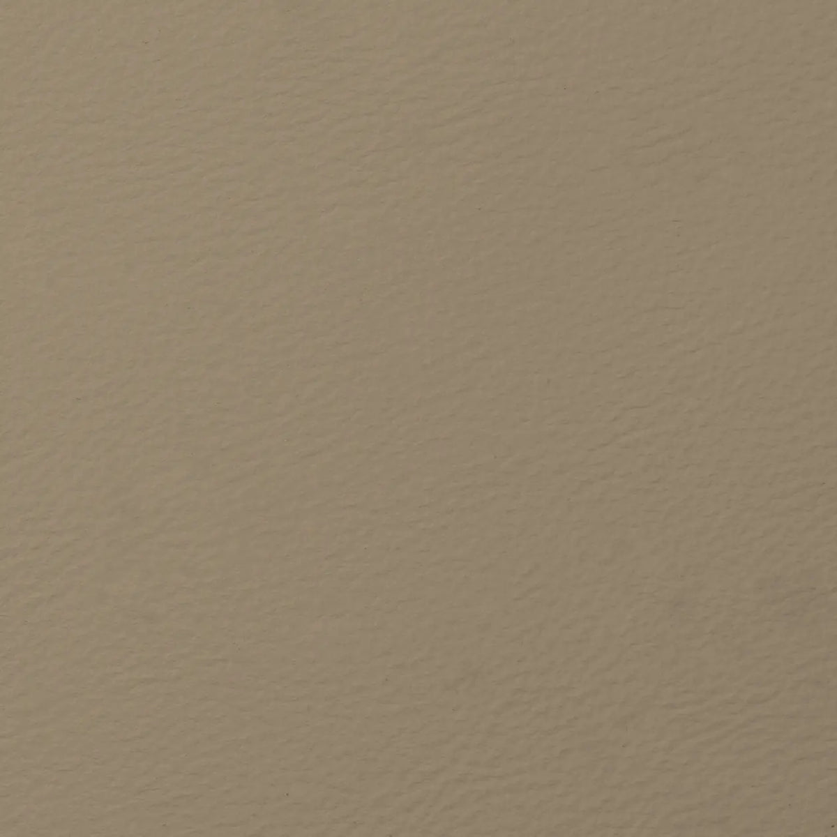 Raw Umber