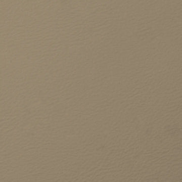 Raw Umber