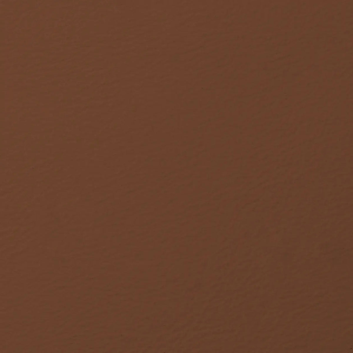 Cinnamon Bark