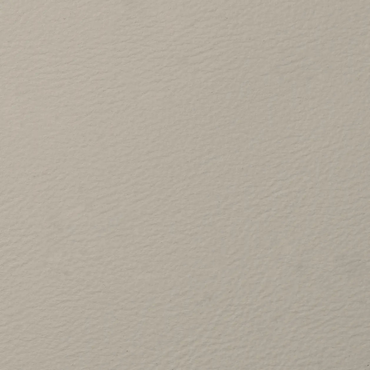 English Ivory