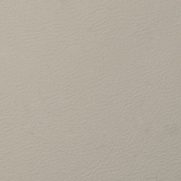 English Ivory
