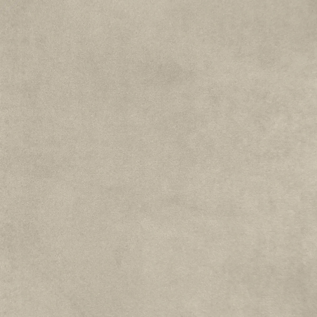 Parchment