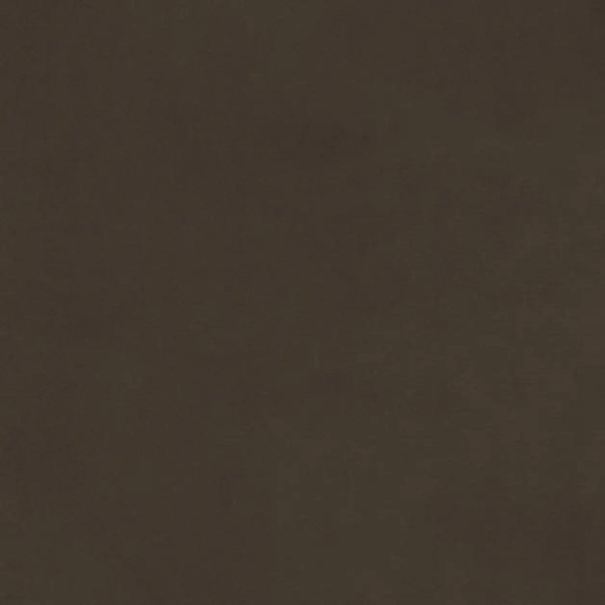 Cocoa