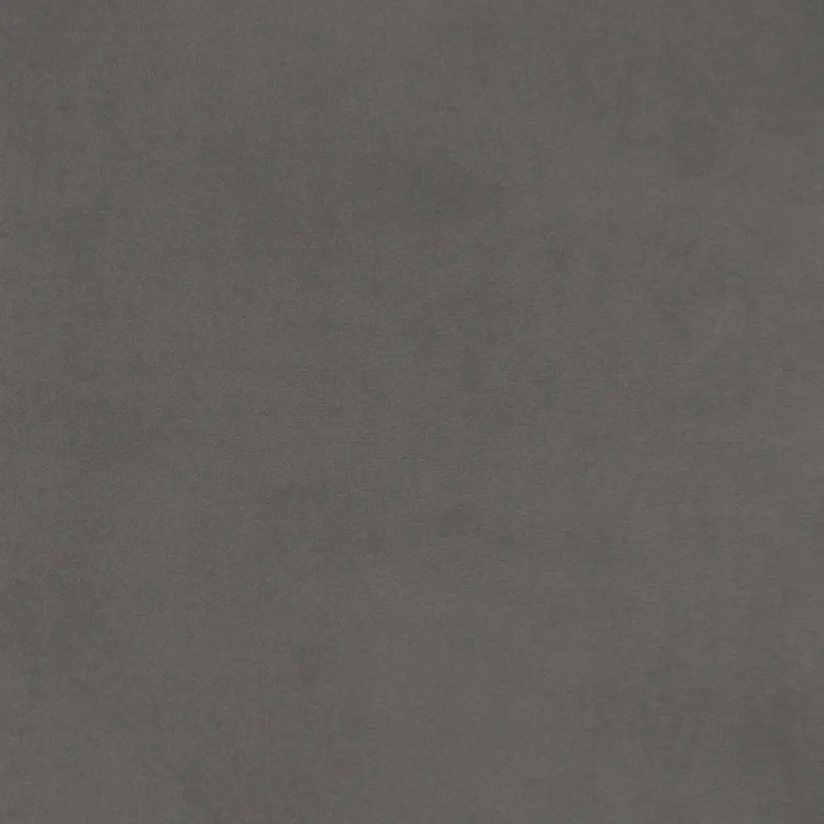 French Grey