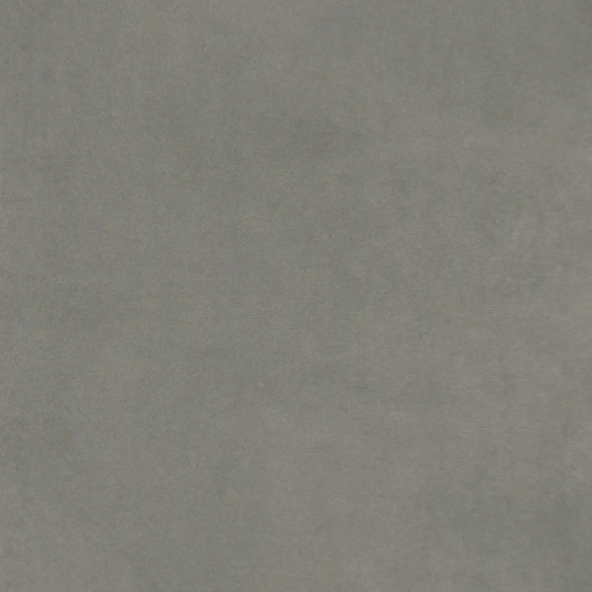 Grey Willow