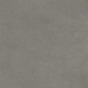 Grey Willow