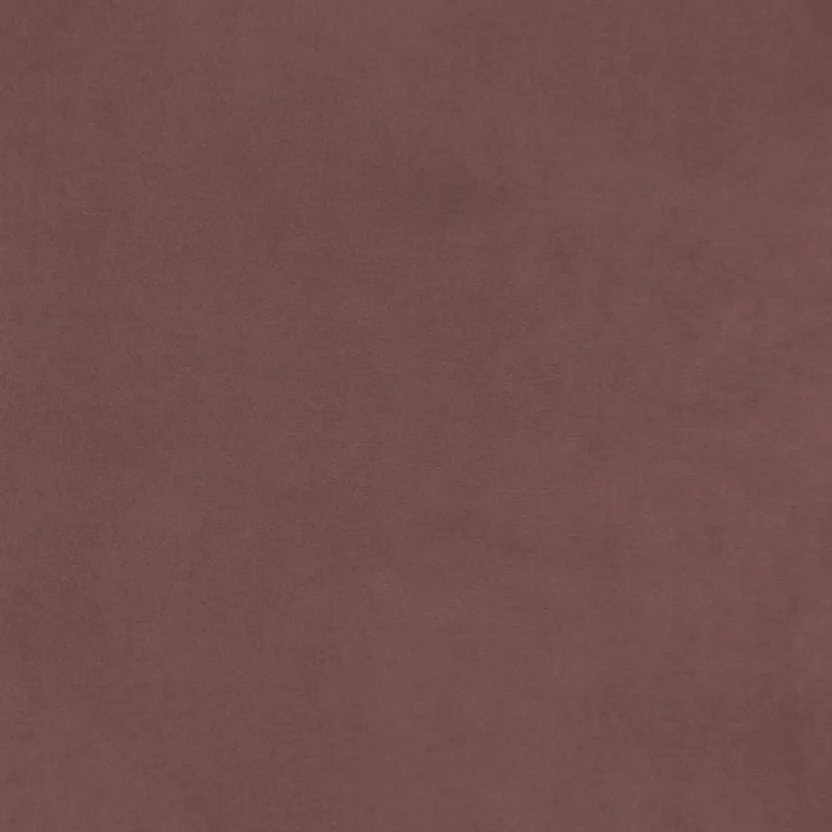Damson Rose