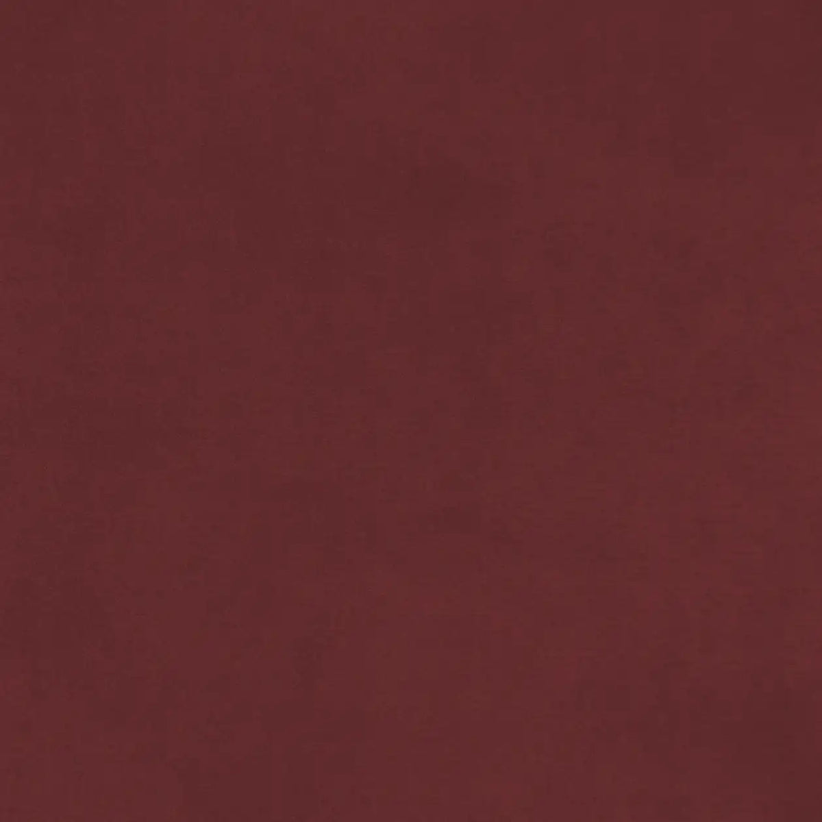 Persian Plum