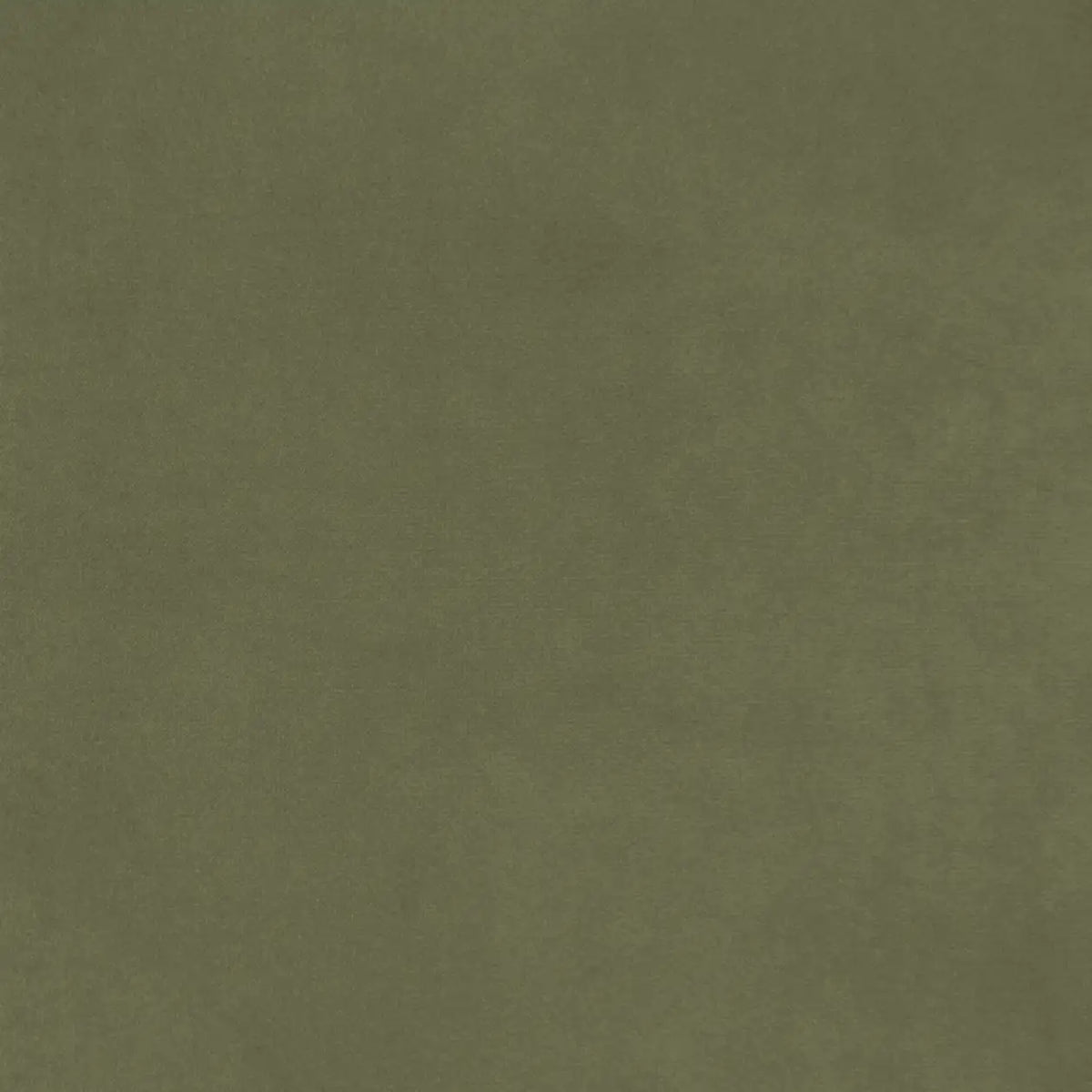 Bay Leaf