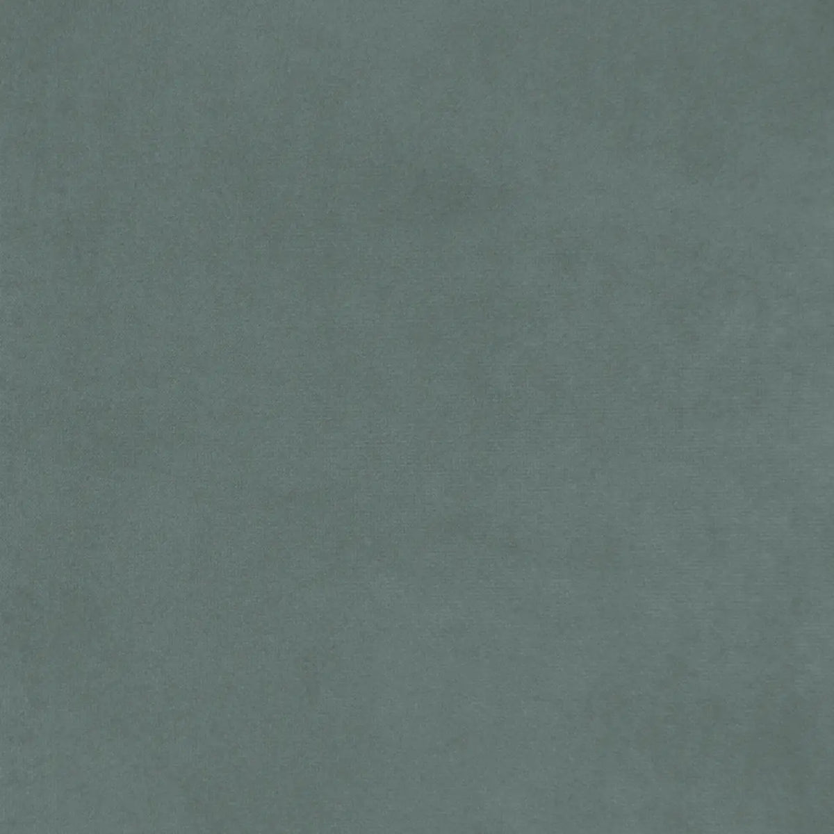 Eucalyptus