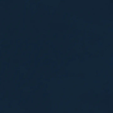 Blue Zodiac
